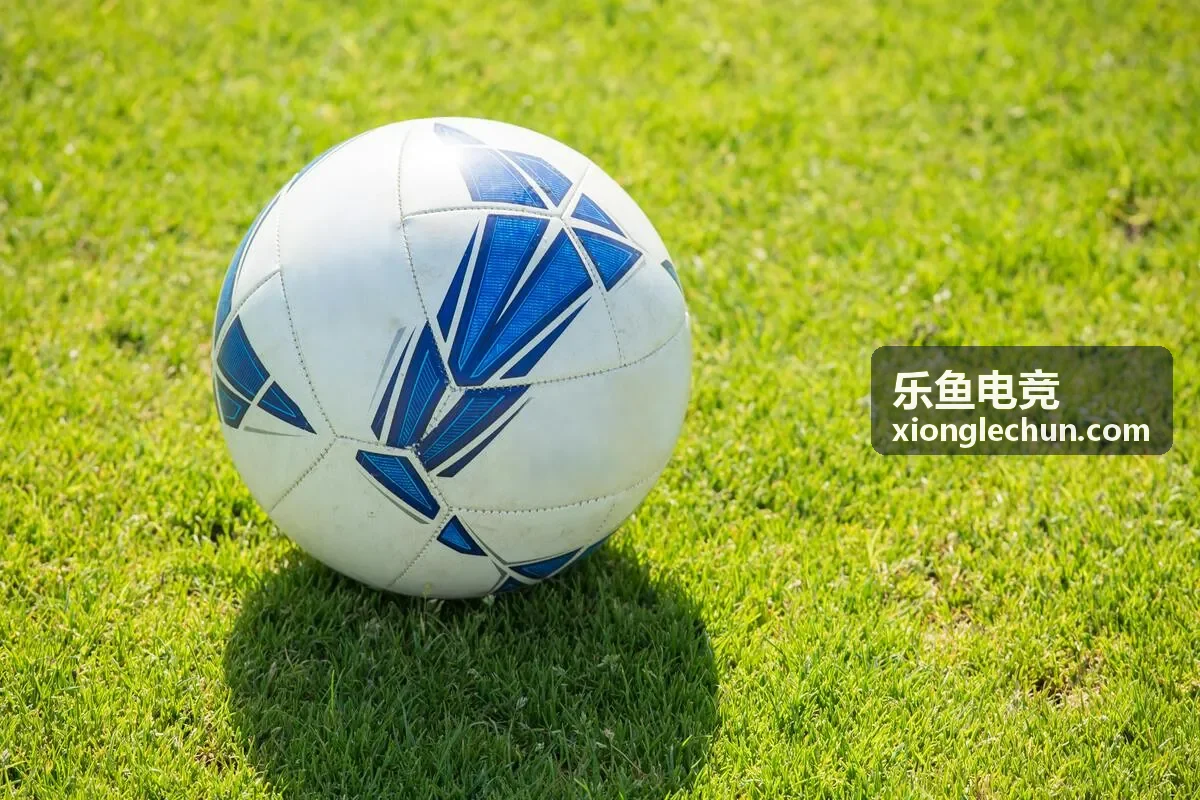 乐鱼电竞数据可视化